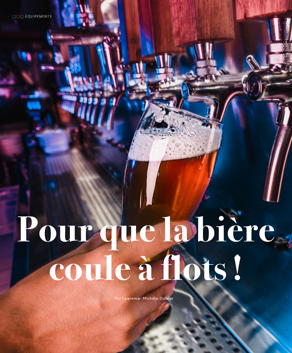 Tireuse bière d'occasion - Annonces Restauration - Hôtellerie